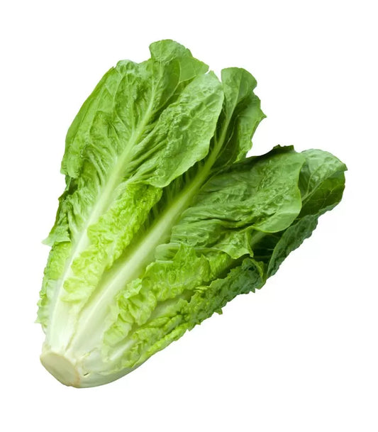 Insalata Lattuga 1kg