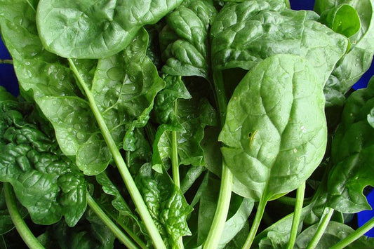 Spinaci 1kg