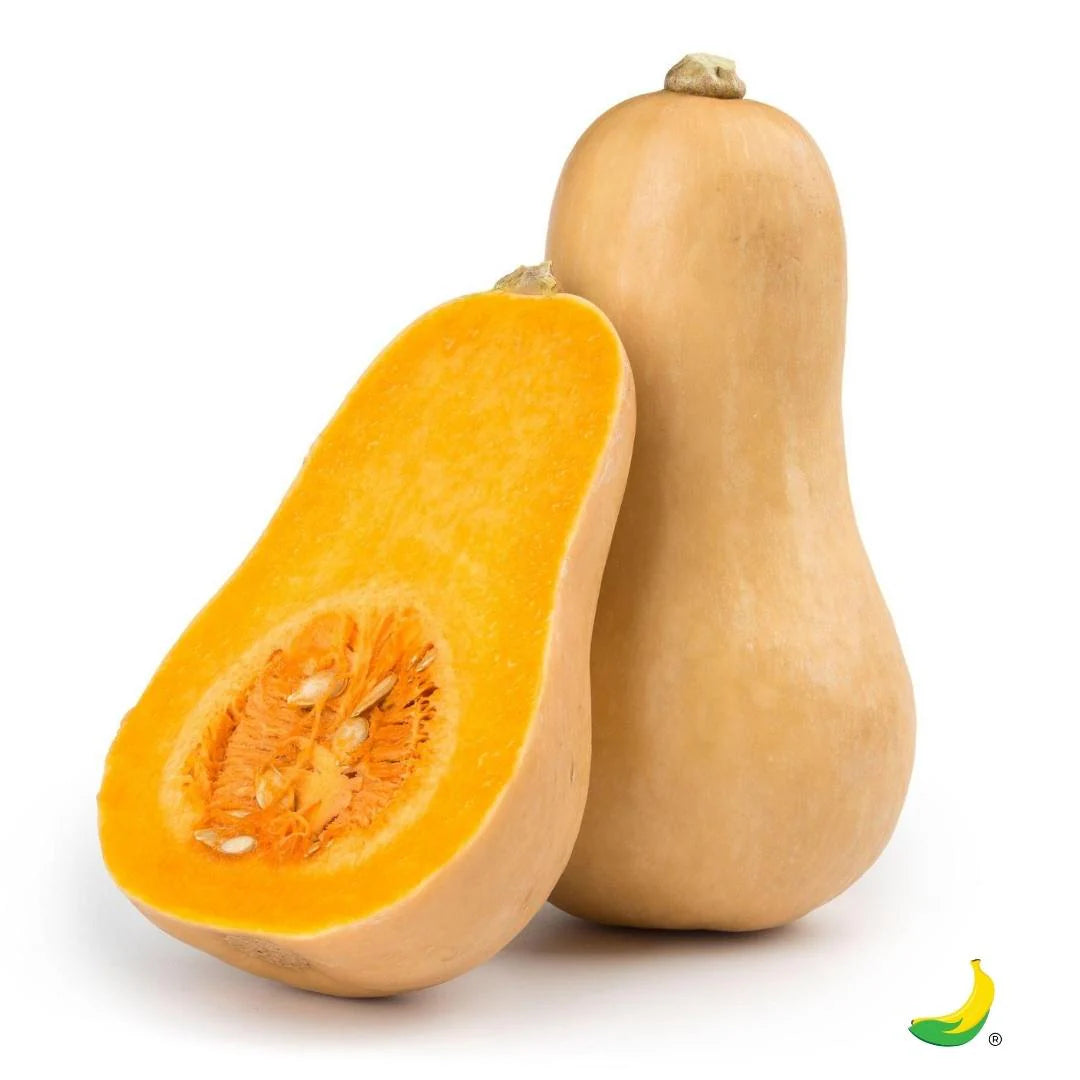 Zucca Botternut
