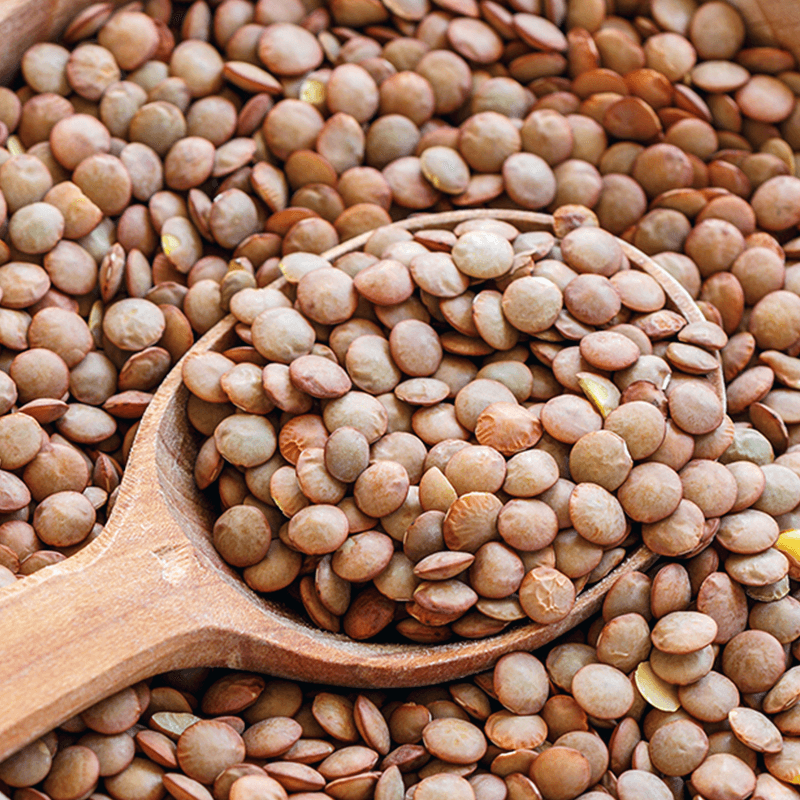 Lenticchie 1 kg