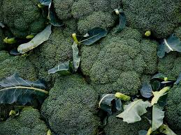 Broccolo Siciliano 1kg