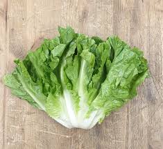 Insalata Scarola 1kg