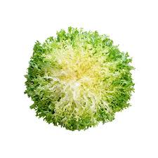 Insalata Riccia 1kg